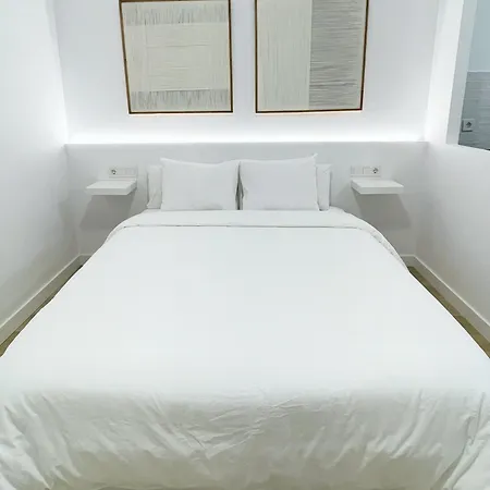 Apartment Loft Carlos Iii L1b