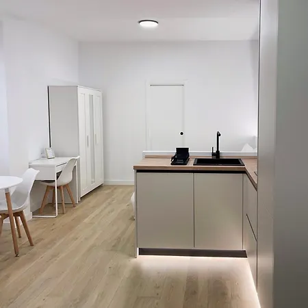 Apartment Loft Carlos Iii L1b