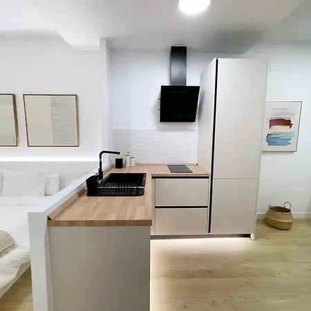 Apartamento Loft Carlos Iii L1b